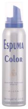 Color Silver Foam 150 Ml Color Silver Foam 150 Ml