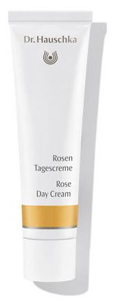 Cream Roses Cream Roses