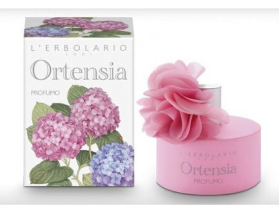Perfumed Water of Hydrangea Perfumed Water of Hydrangea