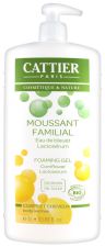 Shampoo and Shower Gel Family Size 1 L Shampoo and Shower Gel Family Size 1 L