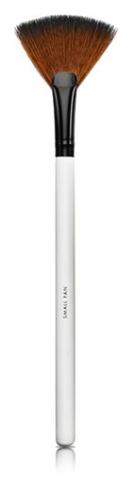 Fan Brush Fan Brush