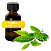 Tea Tree Essential Oil Tea Tree Essential Oil