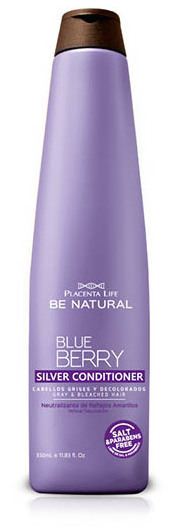 Blueberry Silver Conditioner 350 ml Blueberry Silver Conditioner 350 ml
