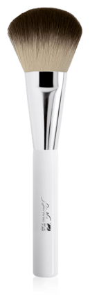 Brush For Defense Color Bronzing Powder and Compact Face Powder Brush For Defense Color Bronzing Powder and Compact Face Powder
