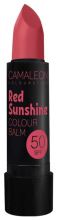 Lipstick Spf50 Red Sunshine Lipstick Spf50 Red Sunshine