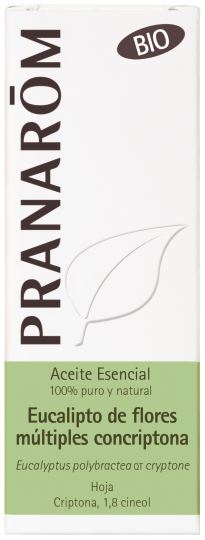 Essential Oil Eucalyptus Flowers Bio Essential Oil Eucalyptus Flowers Bio