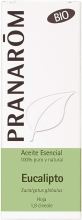 Eucalyptus Menthol Essential Oil 10 ml Eucalyptus Menthol Essential Oil 10 ml