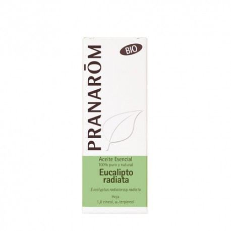 Eucalyptus Radiata Bio Essential Oil Eucalyptus Radiata Bio Essential Oil
