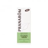Eucalyptus Radiata Bio Essential Oil Eucalyptus Radiata Bio Essential Oil