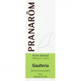 Wintergreen Essential Oil 10Ml. Wintergreen Essential Oil 10Ml.