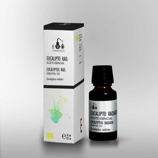 Eucalyptus Radiata Essential Oil 10 ml Eucalyptus Radiata Essential Oil 10 ml