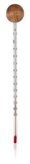 Analogical glass and wood thermometer without mercury Analogical glass and wood thermometer without mercury