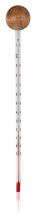 Analogical glass and wood thermometer without mercury Analogical glass and wood thermometer without mercury