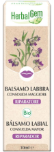 Comfrey Lip Balm Major Bio 10 ml Comfrey Lip Balm Major Bio 10 ml