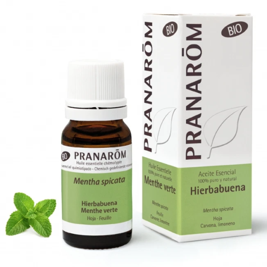 Peppermint Aereas Bio 10 ml Peppermint Aereas Bio 10 ml