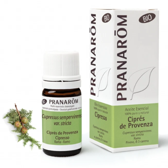 Cypress of Provence Branch Bio Cypress of Provence Branch Bio