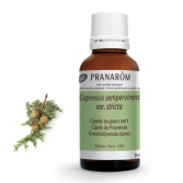 Cypress of Provence Branch Bio Cypress of Provence Branch Bio
