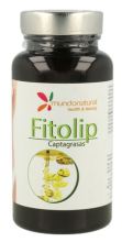 Phytolip 60 Capsules Phytolip 60 Capsules