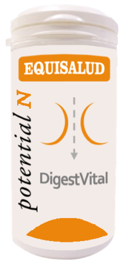 Digessvital 60 Capsules Digessvital 60 Capsules