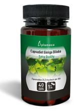 Ginkgo Biloba Capsudiet 40 Capsules Ginkgo Biloba Capsudiet 40 Capsules