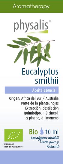 Eucalyptus Smithii Essence 10 ml Eucalyptus Smithii Essence 10 ml