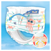 Splashers Size 5 10 Units of 14 kg Splashers Size 5 10 Units of 14 kg