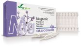 Glucosor Magnesium 28 Vials x 2 ml Glucosor Magnesium 28 Vials x 2 ml