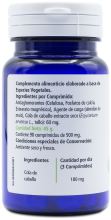 Horsetail 100 tablets 500mg Horsetail 100 tablets 500mg