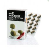 Agaricus Subrufescens Extract and Powder 60 Capsules Agaricus Subrufescens Extract and Powder 60 Capsules