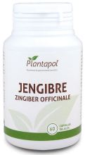 Ginger 60 Capsules 500mg Ginger 60 Capsules 500mg