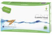 L-Carnitine 20 Ampoules L-Carnitine 20 Ampoules