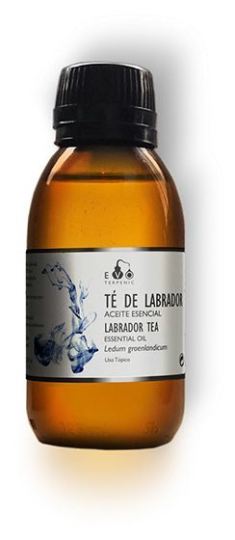 Labrador Tea Bio 30 ml Labrador Tea Bio 30 ml