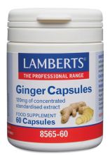 Ginger 120 mg High Concentration 60 Capsules Ginger 120 mg High Concentration 60 Capsules