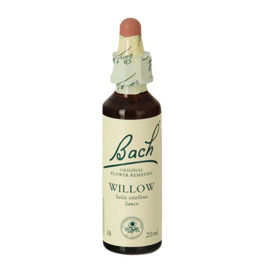 Bach 38 Willow 20 ml Bach 38 Willow 20 ml