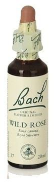 Bach 20 Wild Rose 20 ml Bach 20 Wild Rose 20 ml