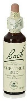Bach 7 Chestnut Bud 20 ml Bach 7 Chestnut Bud 20 ml
