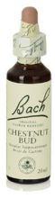 Bach 7 Chestnut Bud 20 ml Bach 7 Chestnut Bud 20 ml