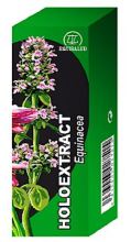 Echinacea Holoextract 50Ml. Echinacea Holoextract 50Ml.