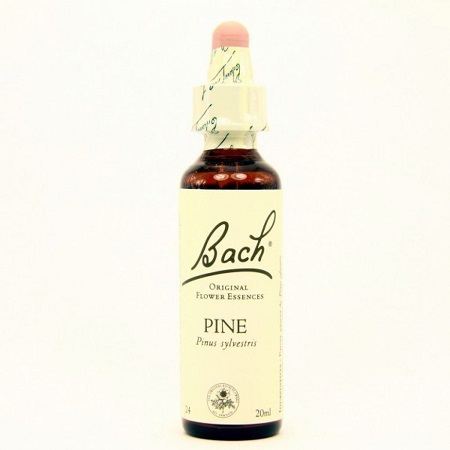 Bach 24 Pine 20 ml Bach 24 Pine 20 ml