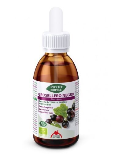 Phytobiopole Black Currant 50 ml Phytobiopole Black Currant 50 ml