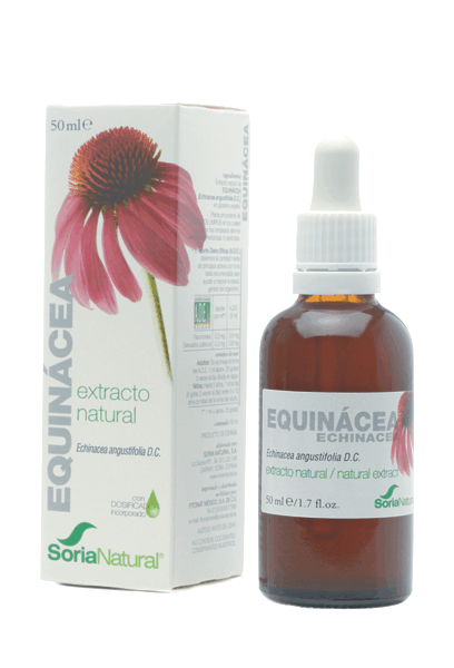 Echinacea Extract Glycerine 50Ml Echinacea Extract Glycerine 50Ml