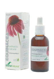Echinacea Extract Glycerine 50Ml Echinacea Extract Glycerine 50Ml