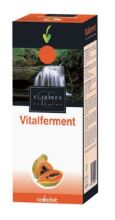 Vitalferment Fermented Papaya 250 ml Vitalferment Fermented Papaya 250 ml