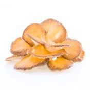 Maitake - Grifola Frondosa 60 Capsules Maitake - Grifola Frondosa 60 Capsules