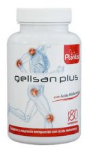 Gelisan Plus Gelisan Plus