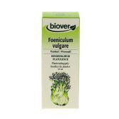 Foeniculum Vulgare Fennel 50 ml Foeniculum Vulgare Fennel 50 ml