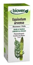 Equisetum Arvense Horsetail 50 ml Equisetum Arvense Horsetail 50 ml
