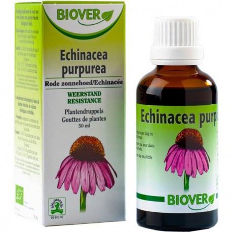 Echinacea Purpurea (Echinacea) Tm 50Ml. Echinacea Purpurea (Echinacea) Tm 50Ml.