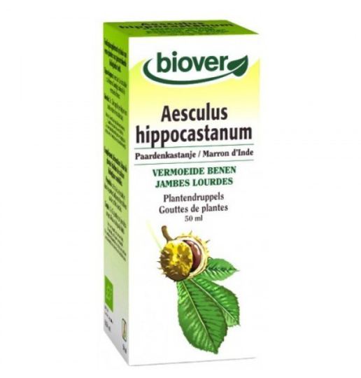 Aesculus Hippocastanum Horse Chestnut 50 ml Aesculus Hippocastanum Horse Chestnut 50 ml
