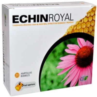 Royal Echin 20 Amp. Royal Echin 20 Amp.
